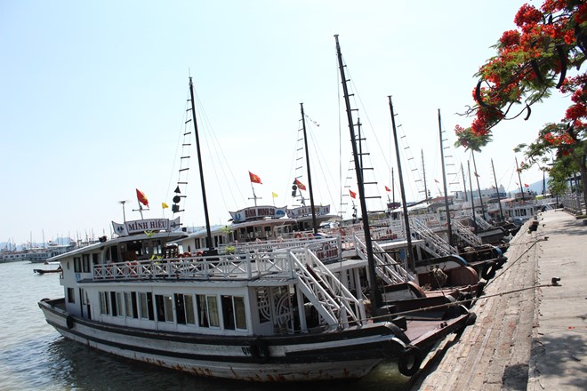 Ha Long bay Day cruises