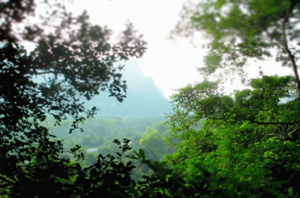 Cat Ba Island