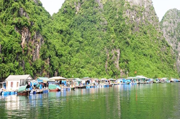 Cua Van fishing village1