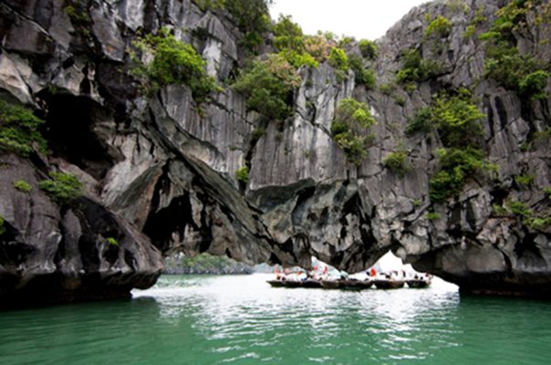 Luon cave Halong bay