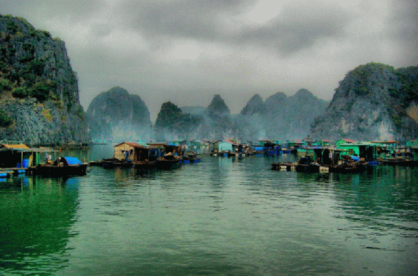 Vung vieng fishing village